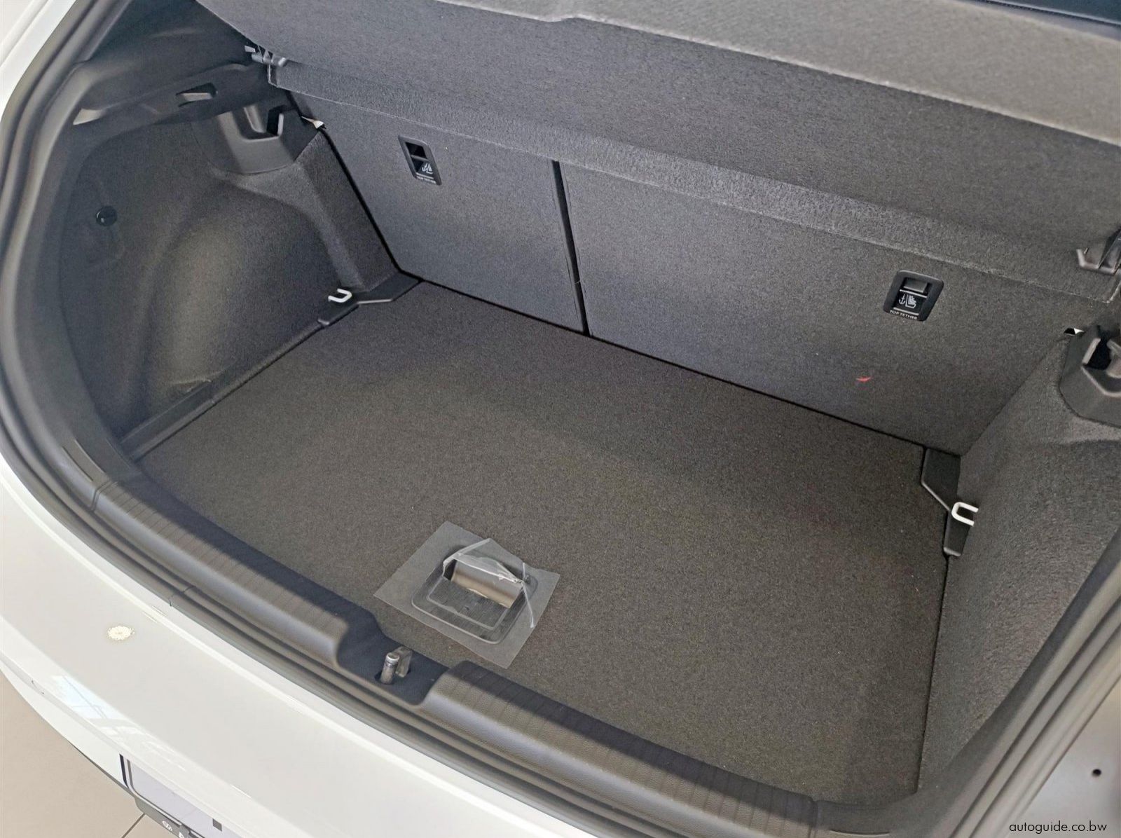 2026 Volkswagen Polo GTi 2.0L TSi pictures