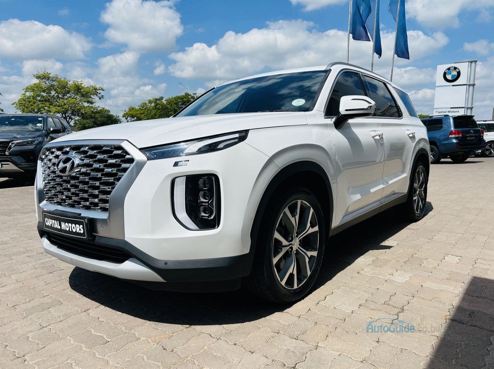 2021 Hyundai Palisade pictures