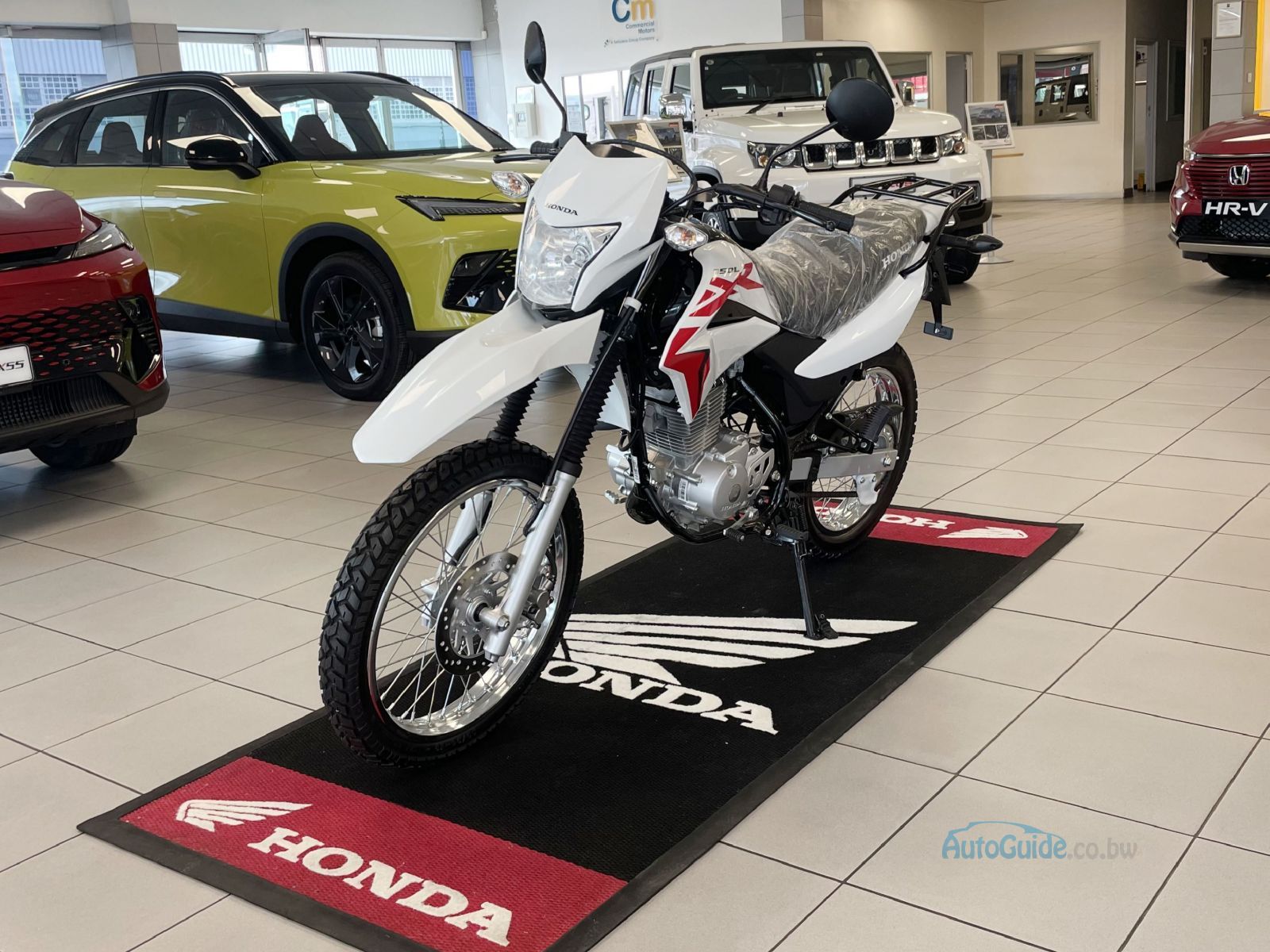 2025 Honda XR150 L - On/Off Road photo
