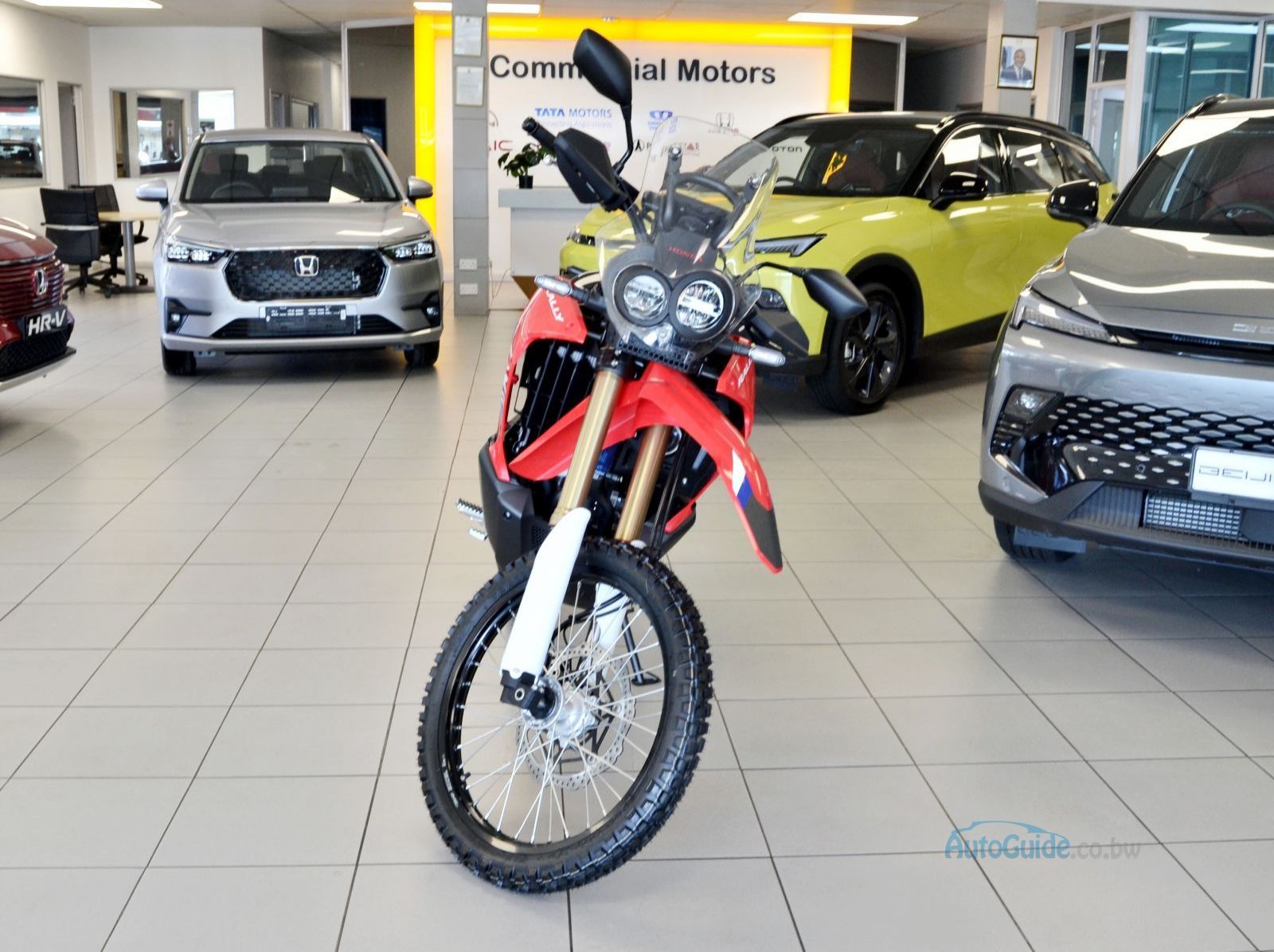 2026 Honda CRF Rally - 300cc pictures