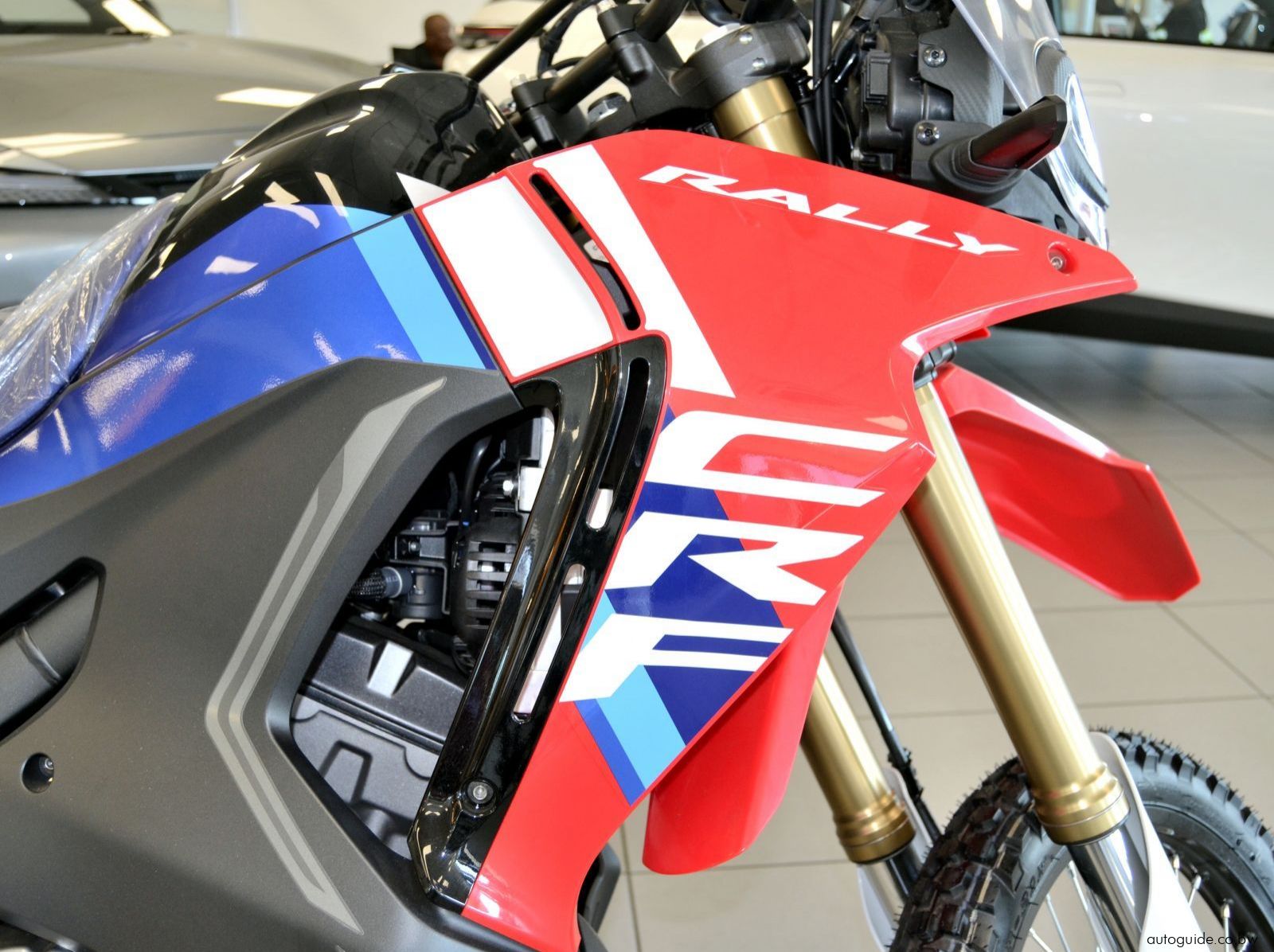 2025 Honda CRF Rally - 300cc pictures