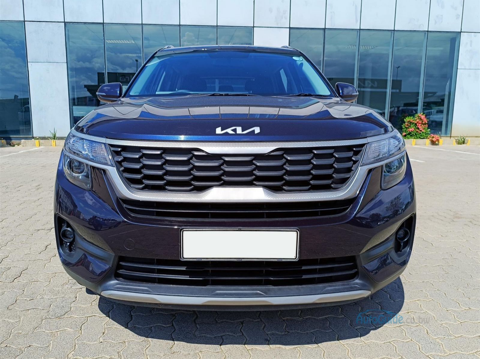 2023 Kia Seltos pictures