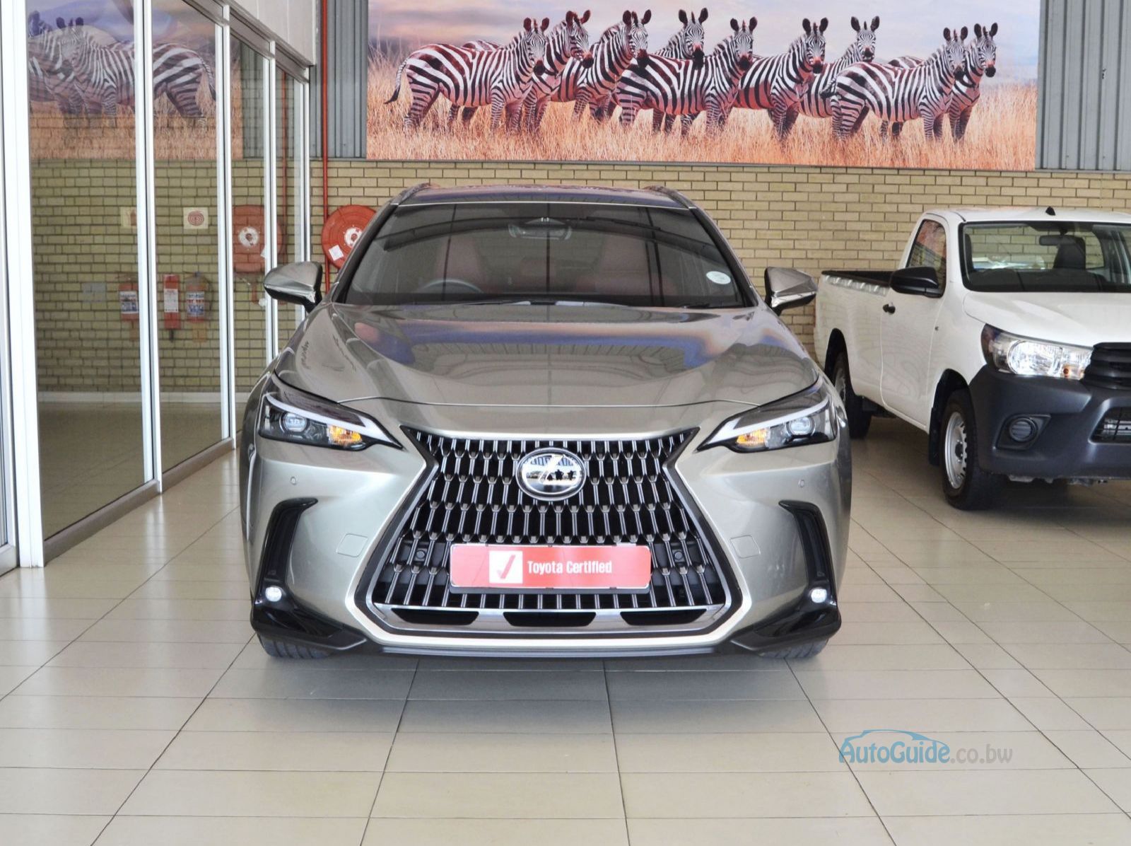 2024 Lexus NX250 EX pictures