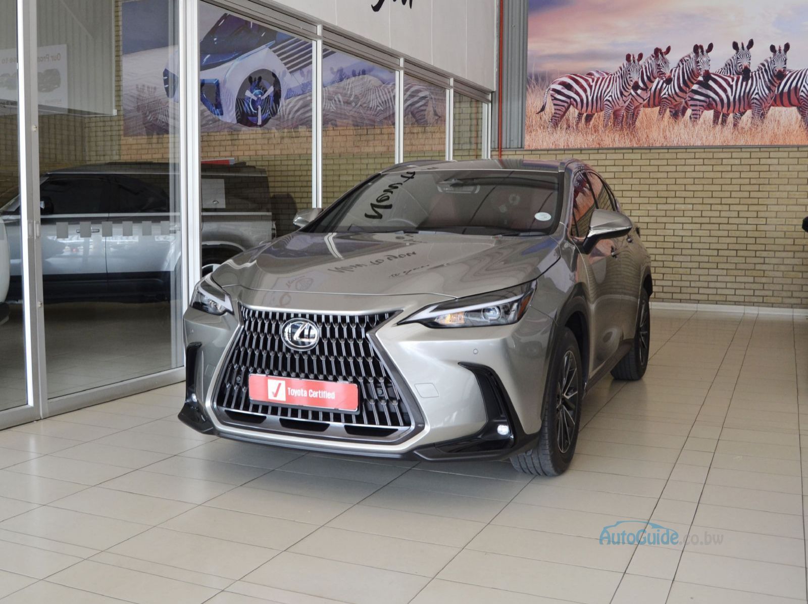 2024 Lexus NX250 EX pictures