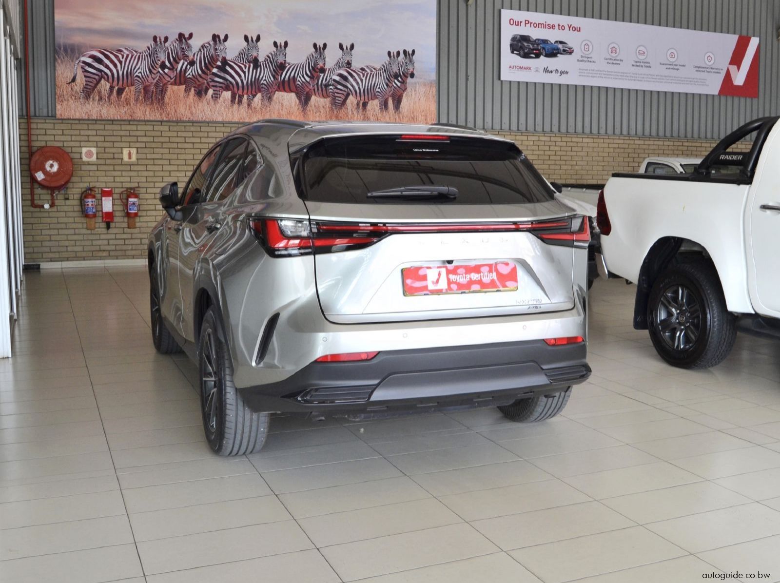 2024 Lexus NX250 EX pictures