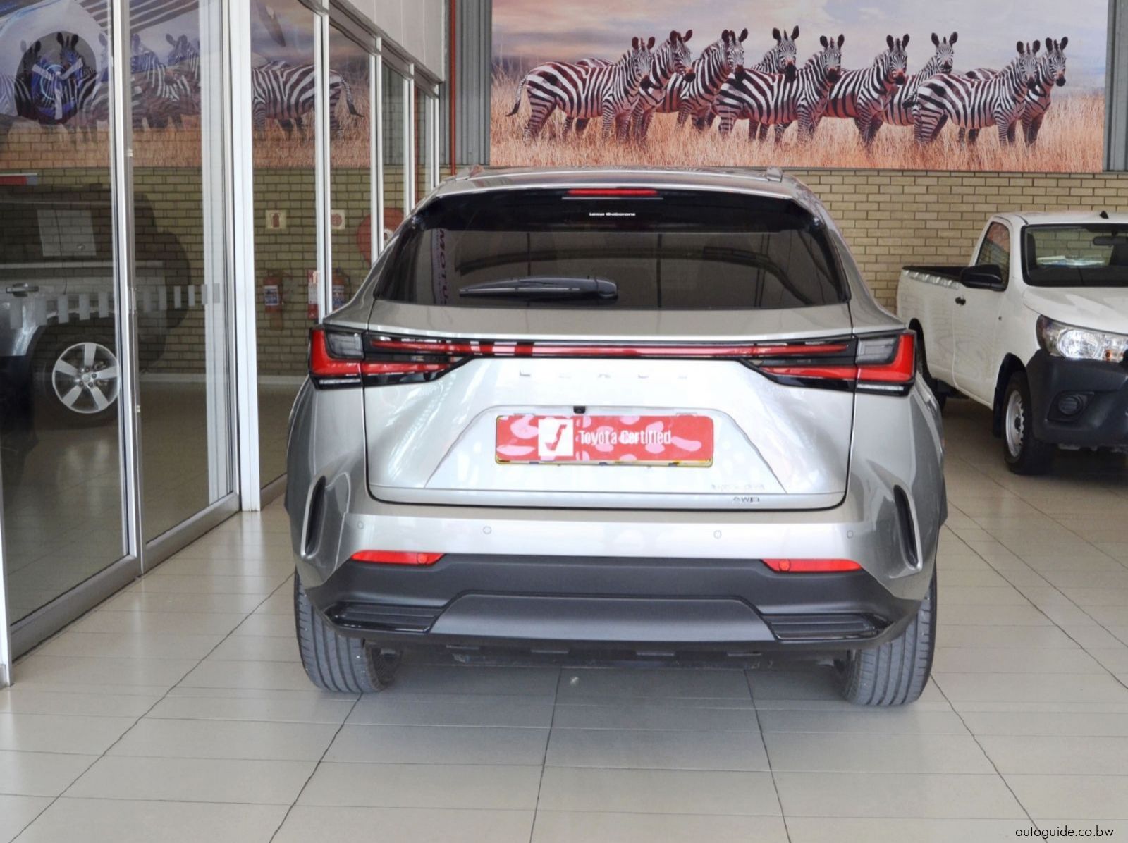 2024 Lexus NX250 EX pictures