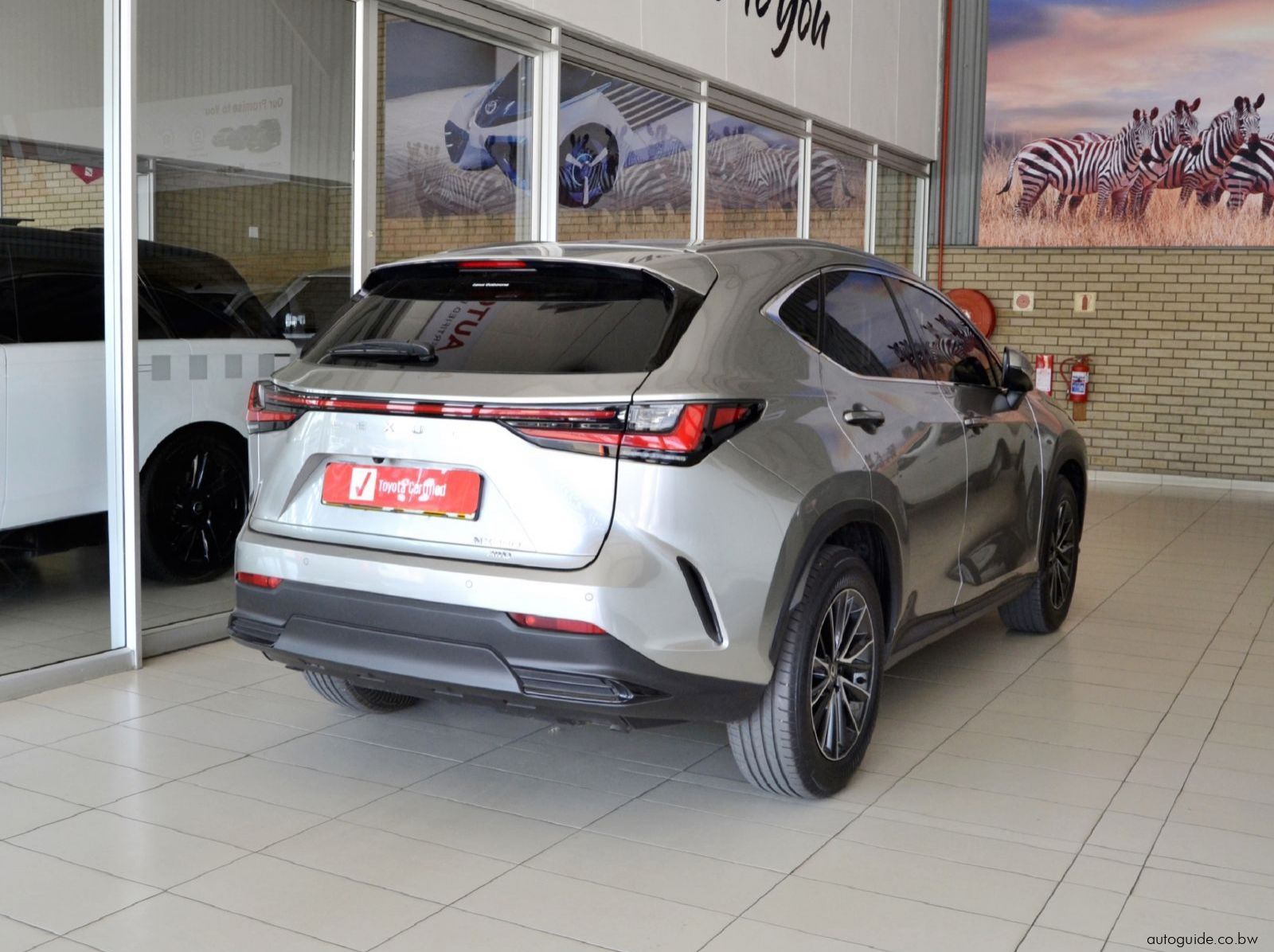 2024 Lexus NX250 EX pictures