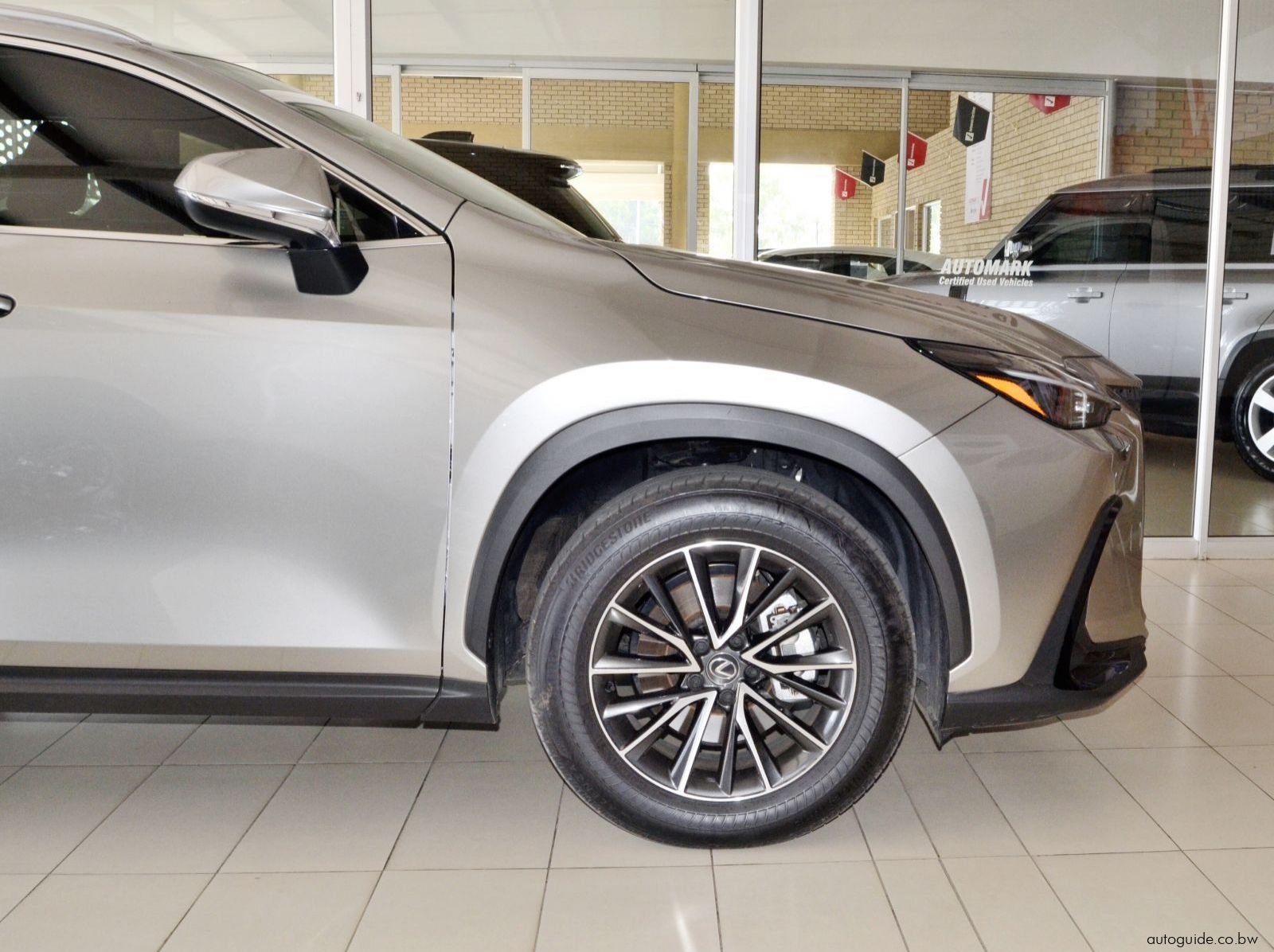 2024 Lexus NX250 EX pictures