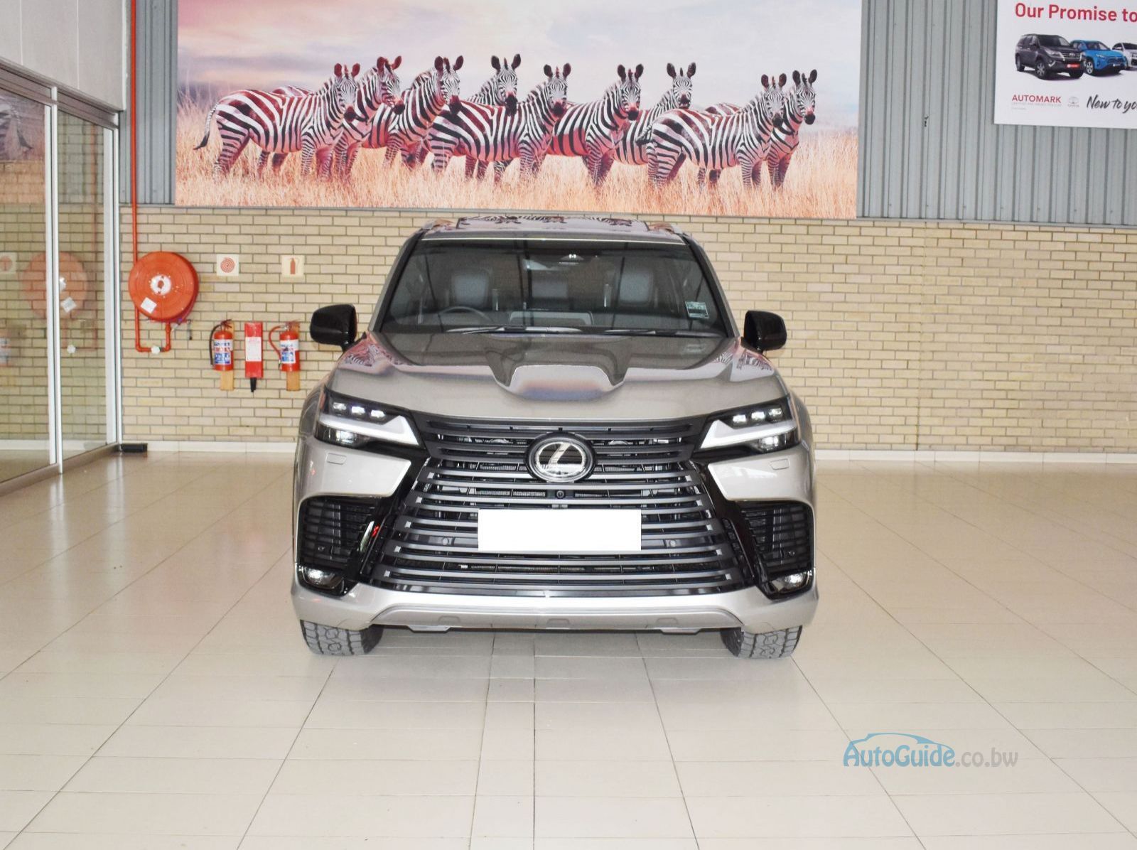 2025 Lexus LX500 D Overtrail pictures