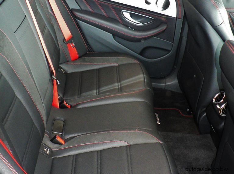 2019 Mercedes-Benz E53 AMG pictures