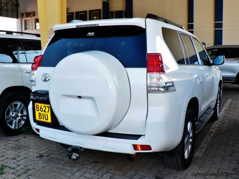 2010 Toyota Prado pictures