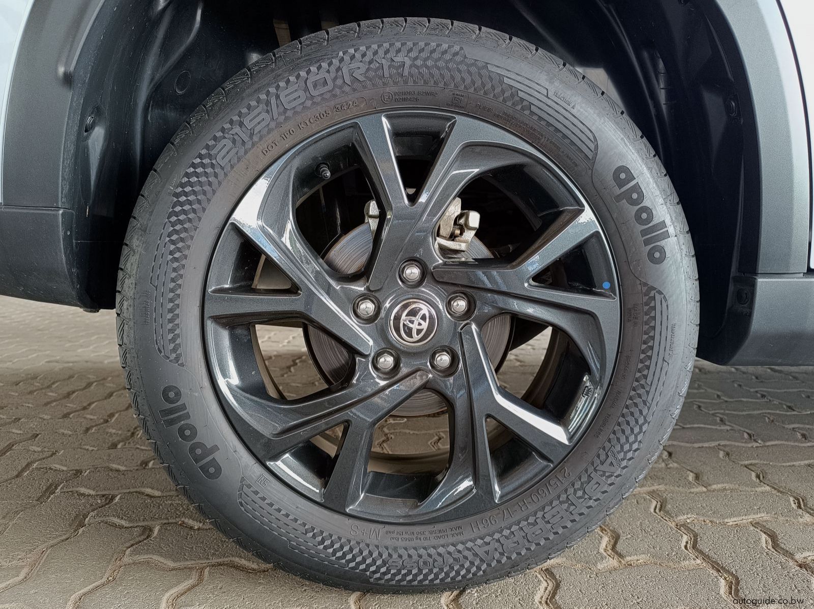 2025 Toyota Urban Cruiser pictures