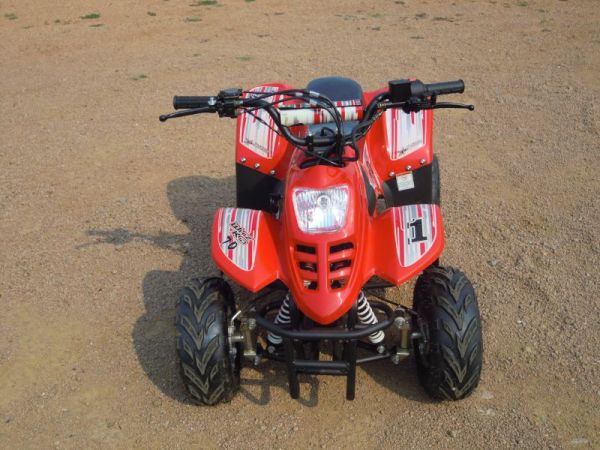 2012 Puzey Whiz Kids 70cc photo