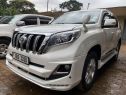 2012 Toyota prado