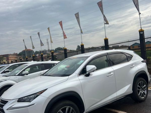 2016 Lexus NX200T photo