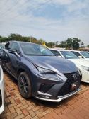 2019 Lexus NX