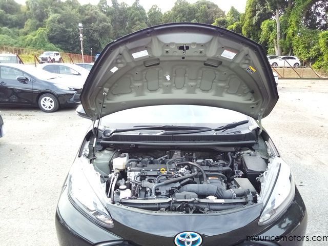 2022 Toyota Aqua X photo