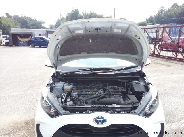 2022 Toyota Yaris HYBRID X pictures