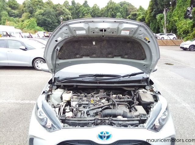 2022 Toyota Yaris HYBRID X pictures