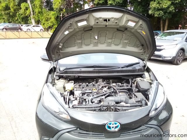 2022 Toyota Aqua X pictures