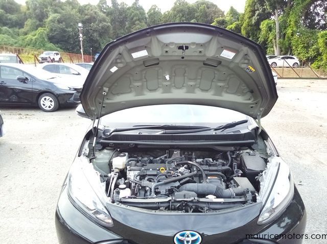 2022 Toyota Aqua X pictures