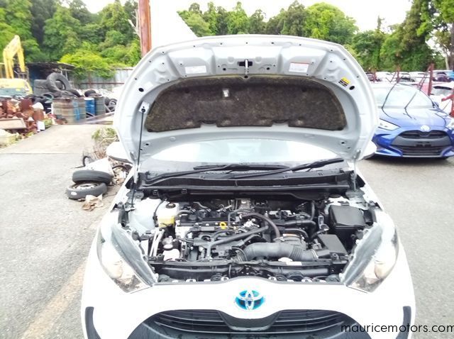 2022 Toyota Yaris HYBRID X pictures