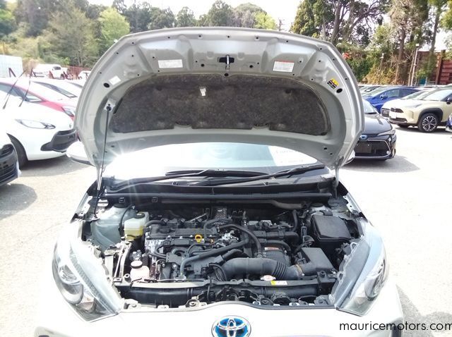 2022 Toyota Yaris HYBRID X pictures