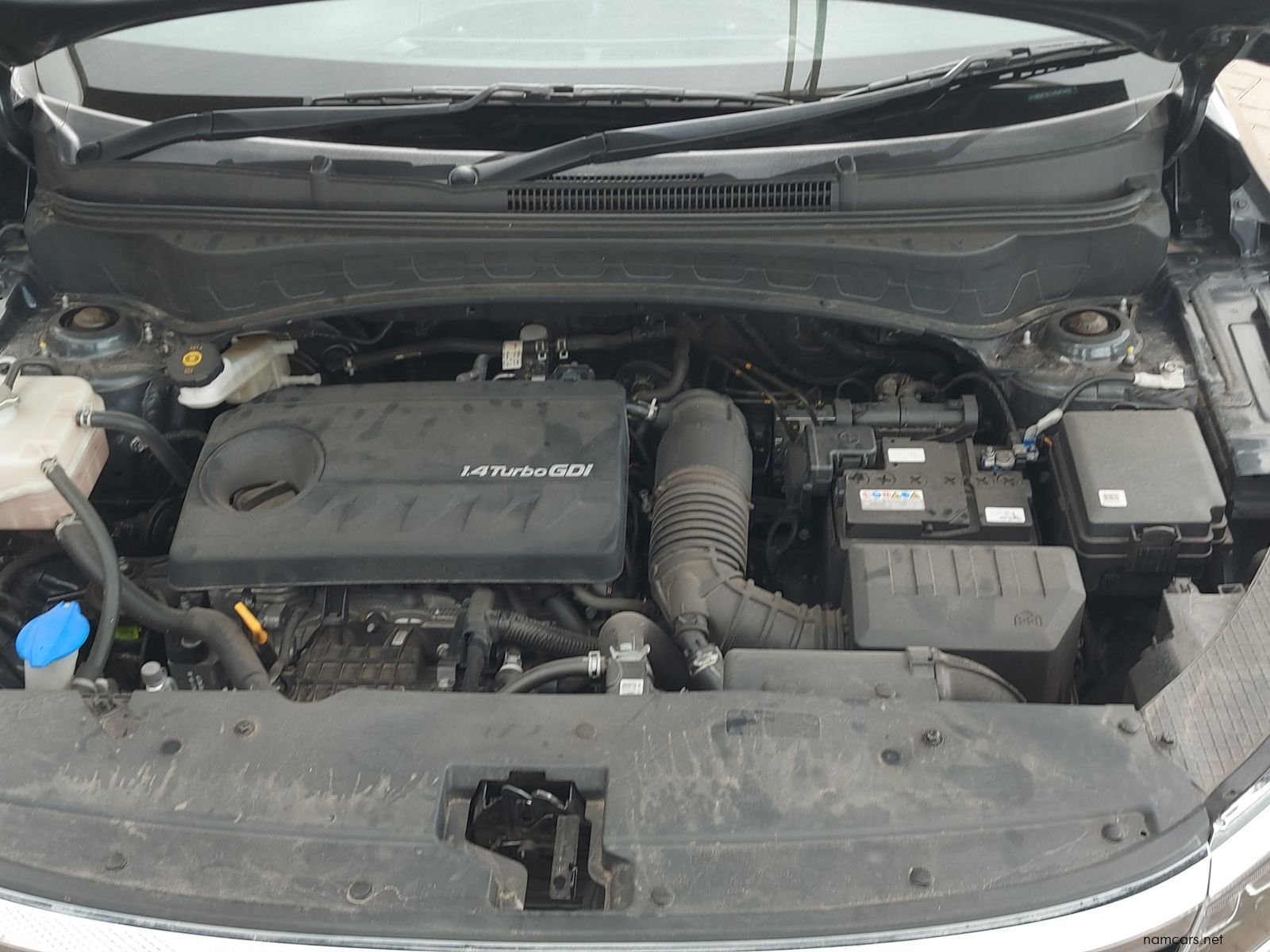 2023 Kia Seltos GTline photo