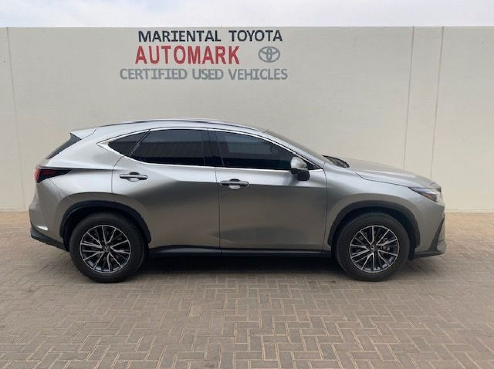 2025 Lexus Nx 350h Ex hybrid pictures