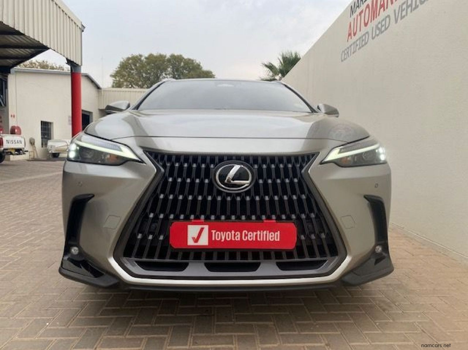 2025 Lexus Nx 350h Ex hybrid pictures