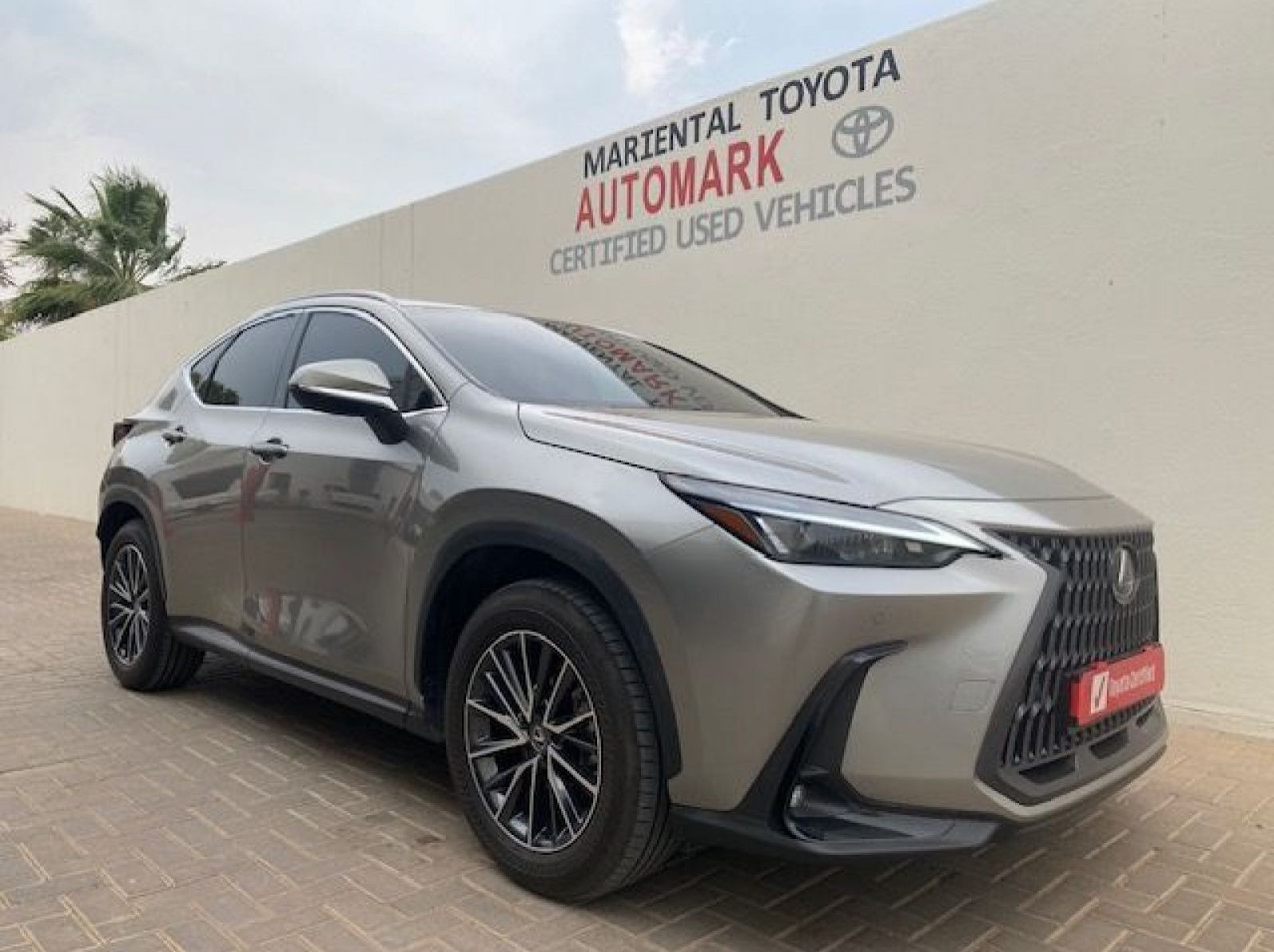 Used Lexus Nx 350h Ex hybrid for sale in Windhoek, Walvis Bay, Okahandja, Gobabis, Mariental, Otjiwarongo, Ongwediva, Namibia