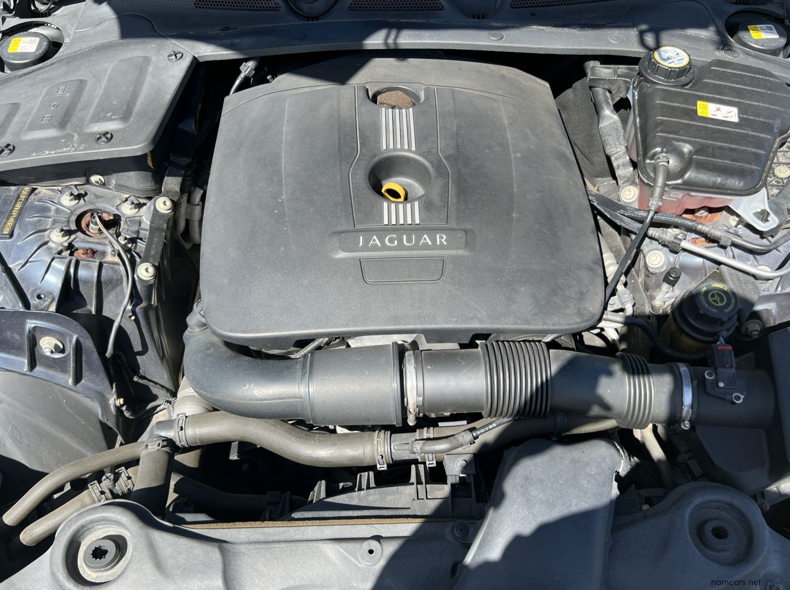 2013 Jaguar XJ pictures