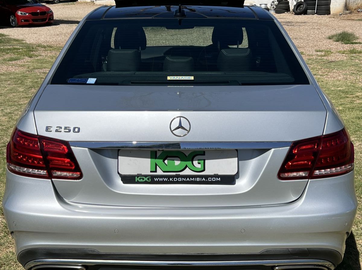 2014 Mercedes-Benz E250 pictures