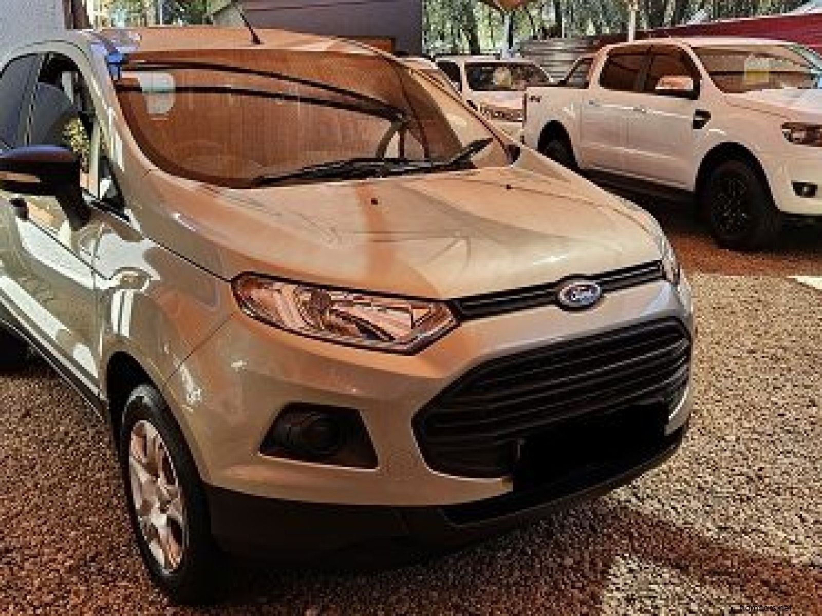 2016 Ford Ecosport  Ambient photo