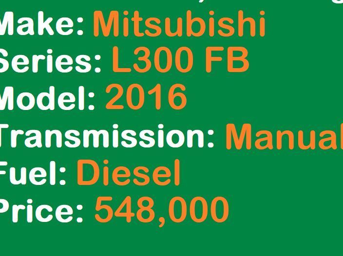 2016 Mitsubishi Mitsubishi L300 FB Van Lucena City pictures