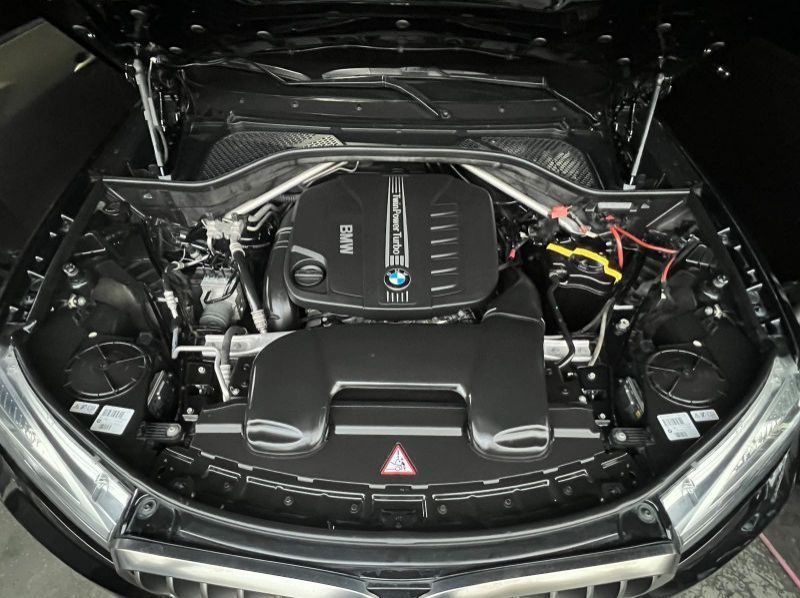 2016 BMW X6 xDrive 30d Pure Extravagance F16 pictures