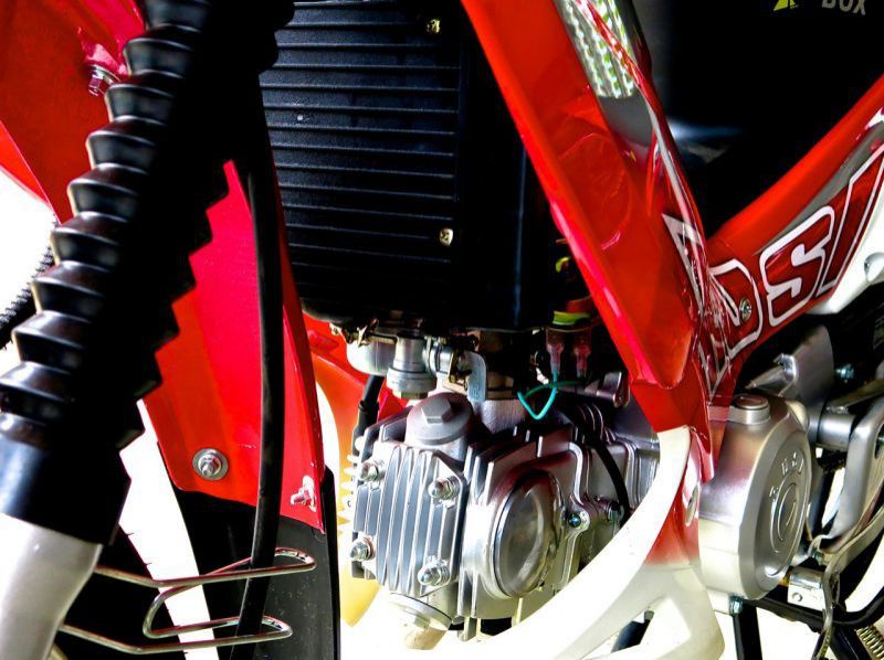 2014 Rusi DL-Y 100 pictures