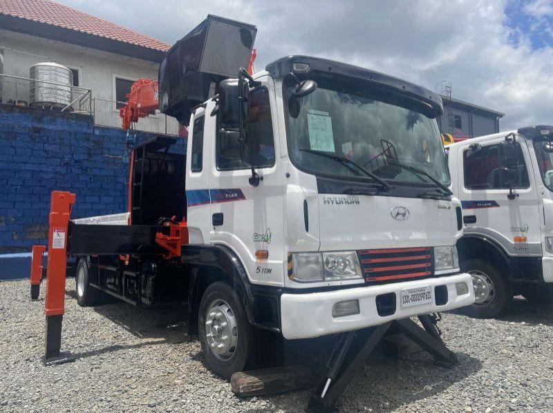 2022 Hyundai BOOM TRUCK pictures