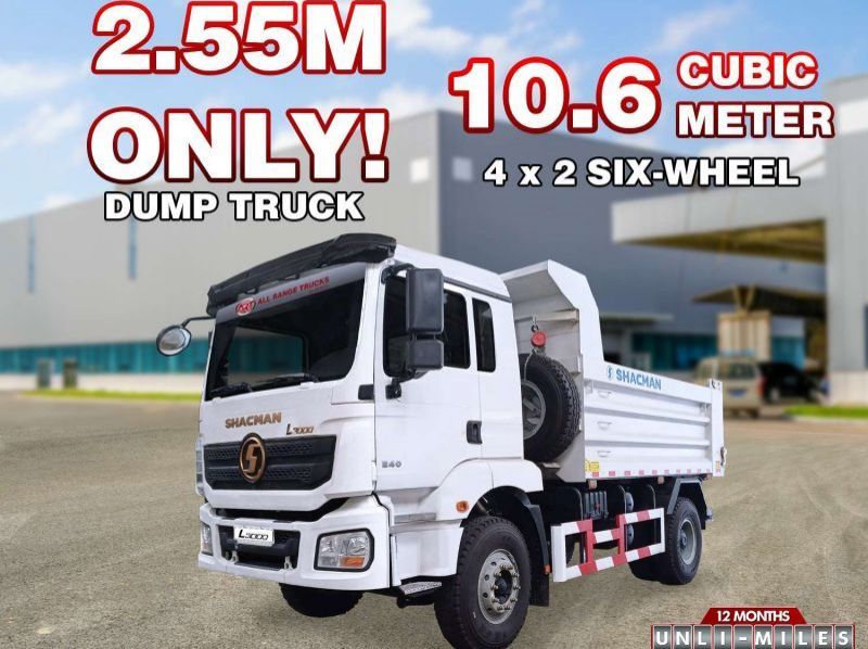 Used Shacman Shacman SX3188MK401C L3000  for sale in Manila, Philippines
