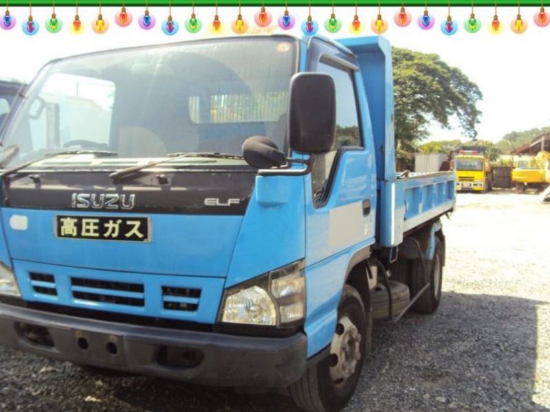 Download 2018 Isuzu Elf Mini Dump Truck for sale | 100 000 Km ...