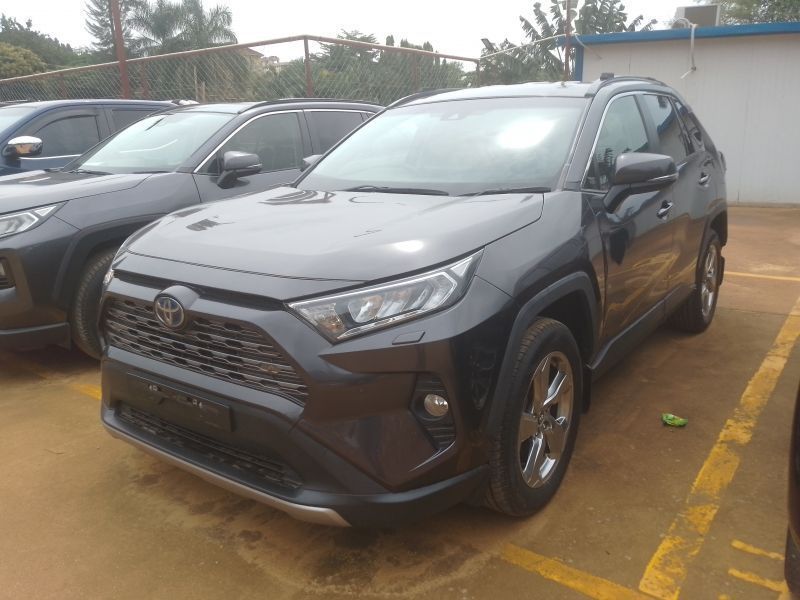 2019 Toyota Rav4 photo