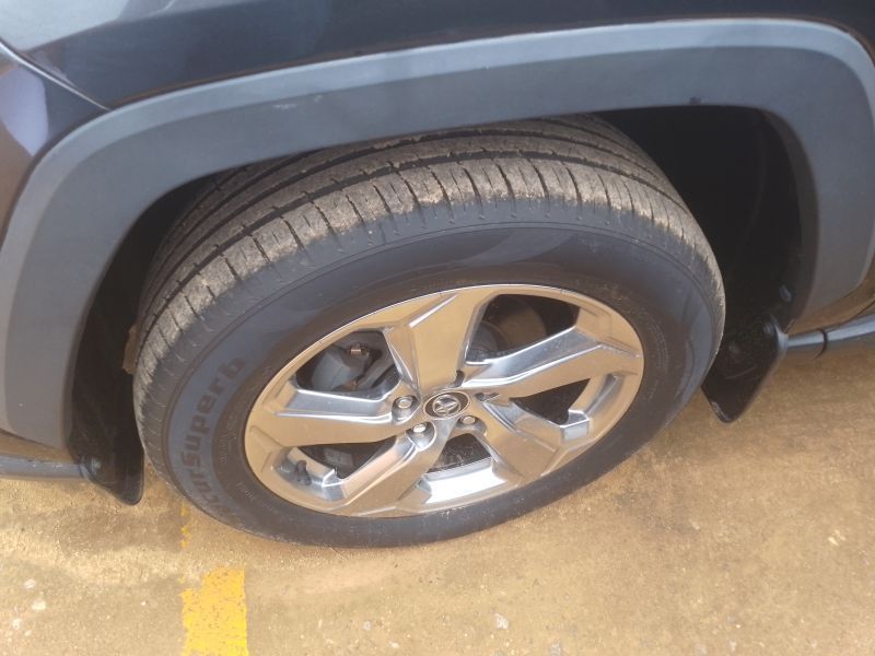2019 Toyota Rav4 photo