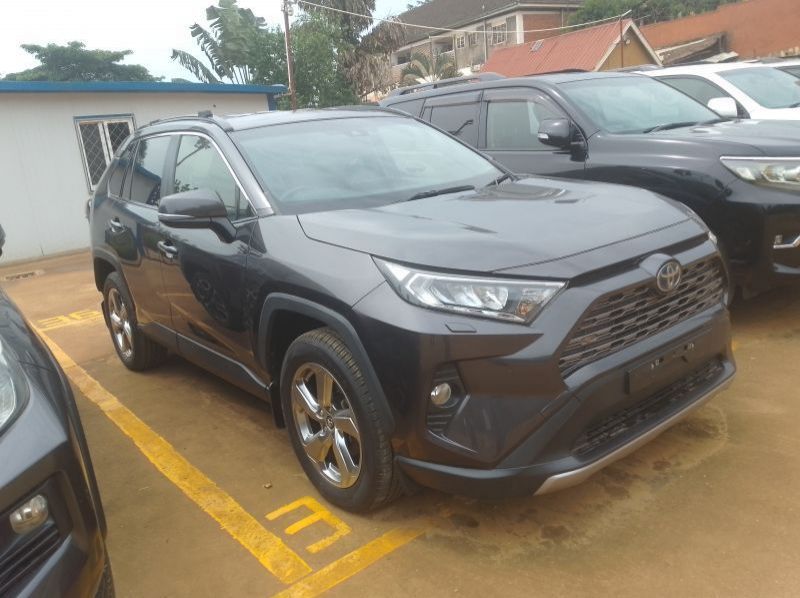 2019 Toyota Rav4 pictures