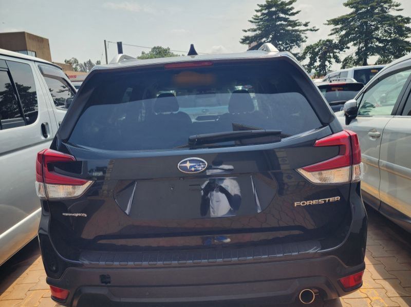 2019 Subaru Forester pictures