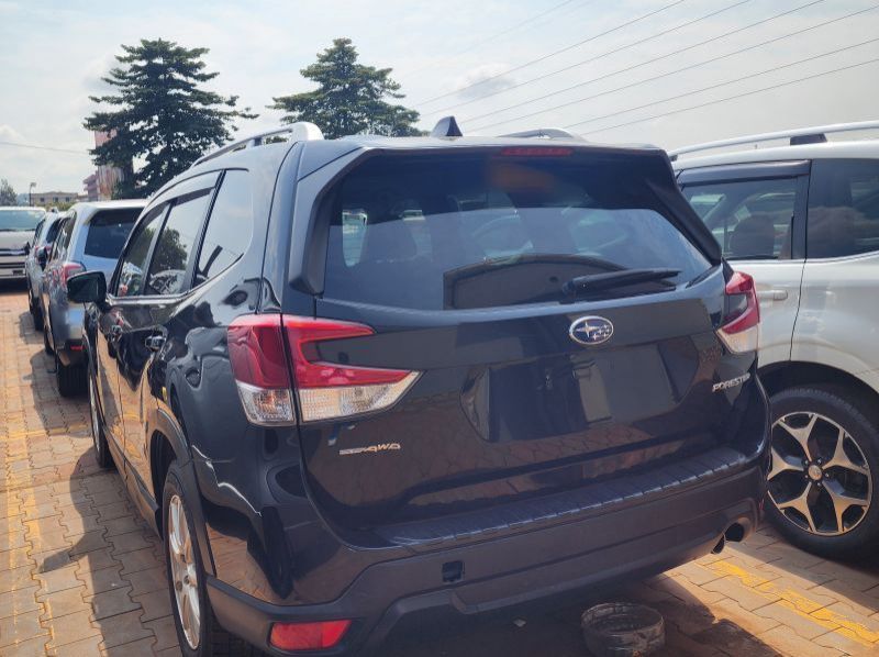 2019 Subaru Forester pictures