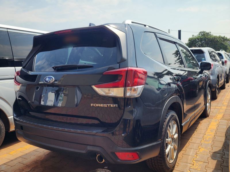 2019 Subaru Forester pictures