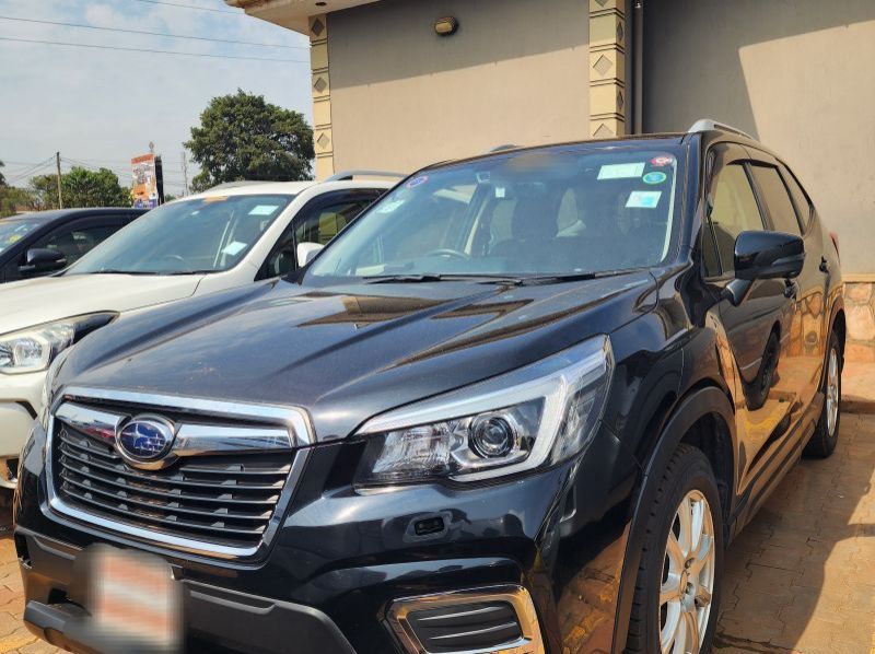 2019 Subaru Forester pictures