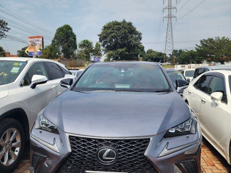 2019 Lexus NX pictures