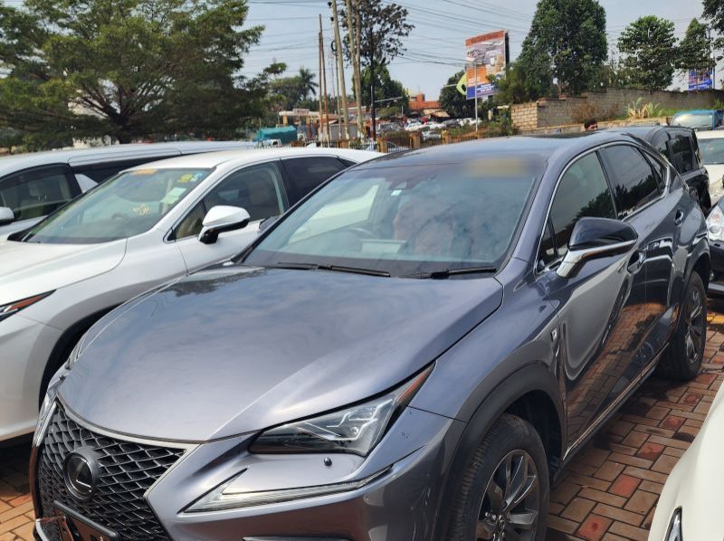 2019 Lexus NX pictures