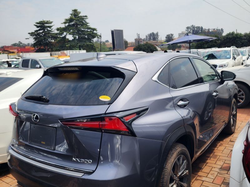 2019 Lexus NX pictures